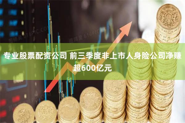 专业股票配资公司 前三季度非上市人身险公司净赚超600亿元