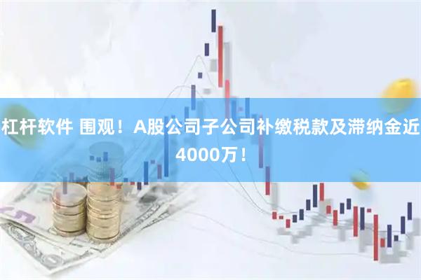 杠杆软件 围观！A股公司子公司补缴税款及滞纳金近4000万！
