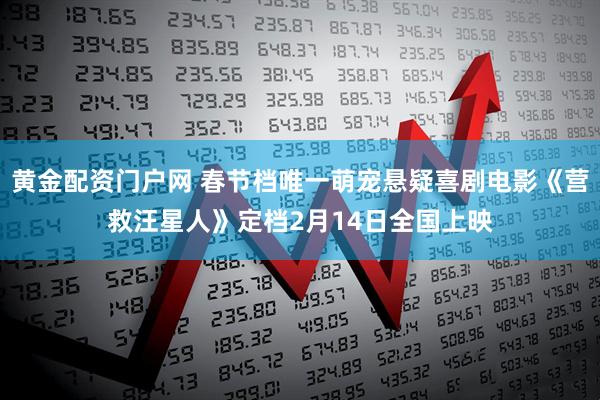 黄金配资门户网 春节档唯一萌宠悬疑喜剧电影《营救汪星人》定档2月14日全国上映